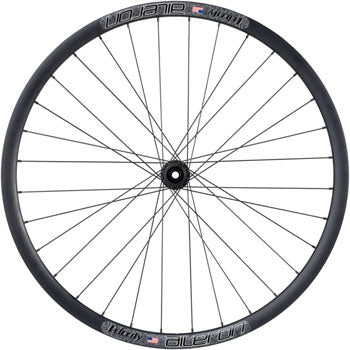 Velocity Aileron Disc Rear Wheel - 700, QR x 135mm, Center-Lock, HG 10, Black