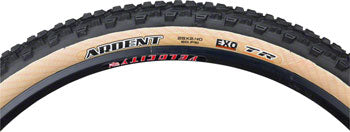 TIRES MAX ARDENT 29x2.4 BK/SK FOLD/60 DC/EXO/TR
